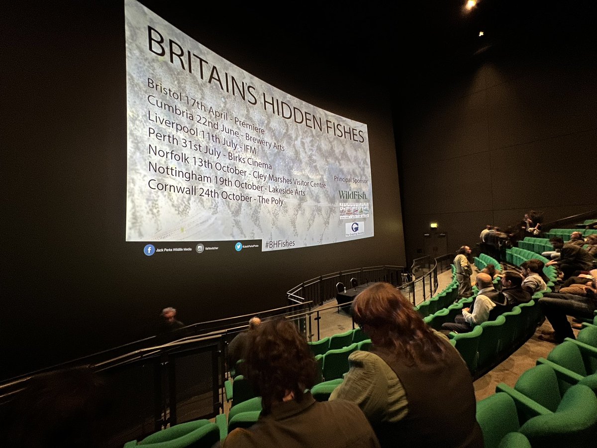 Iain Turner tweet media