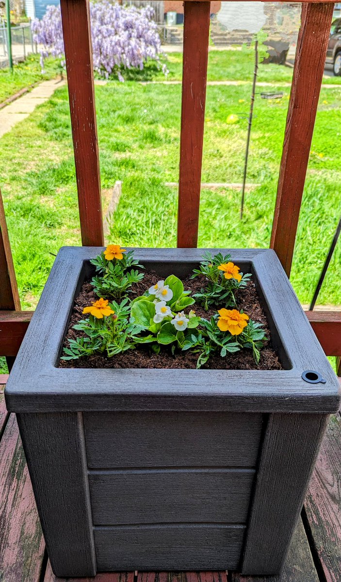 FSMMedia's tweet image. Have you seen the @Step2 Home &amp;amp; Patio products? They are made out of high-quality resin that will never split, chip, or tarnish and they look awesome! You have to check them out step2.com/home-patio

#Step2 #Step2planters #planterbox #springflowers #gifted #giftedcollab