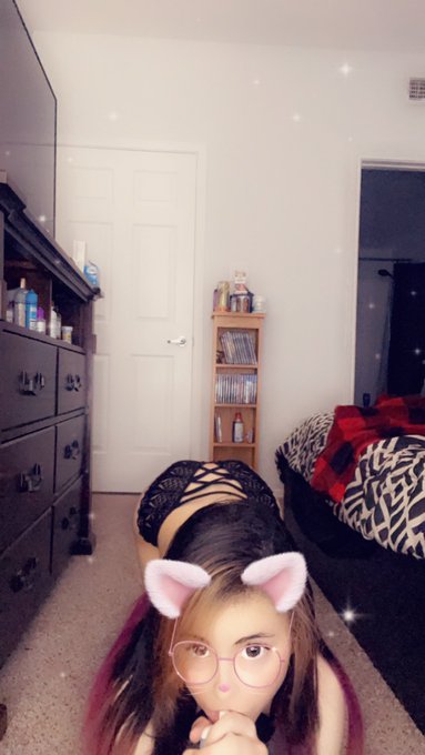 Just a kitty chilling 😸🍃 https://t.co/GBlmIXLbQH