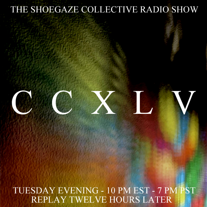 TShoegazeCollective tweet media