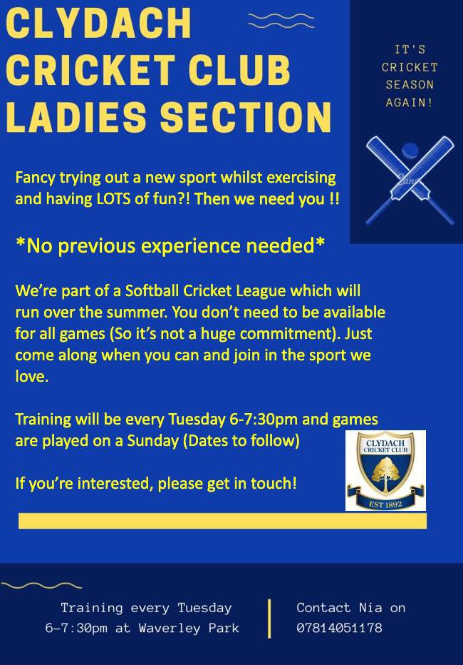 Clydach Cricket Ladies tweet media