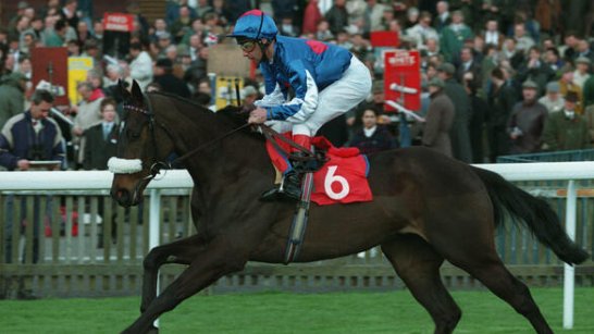 Just read that Selhurstpark Flyer had passed

Terrific Sprinting handicapper in the 90s for Jack Berry