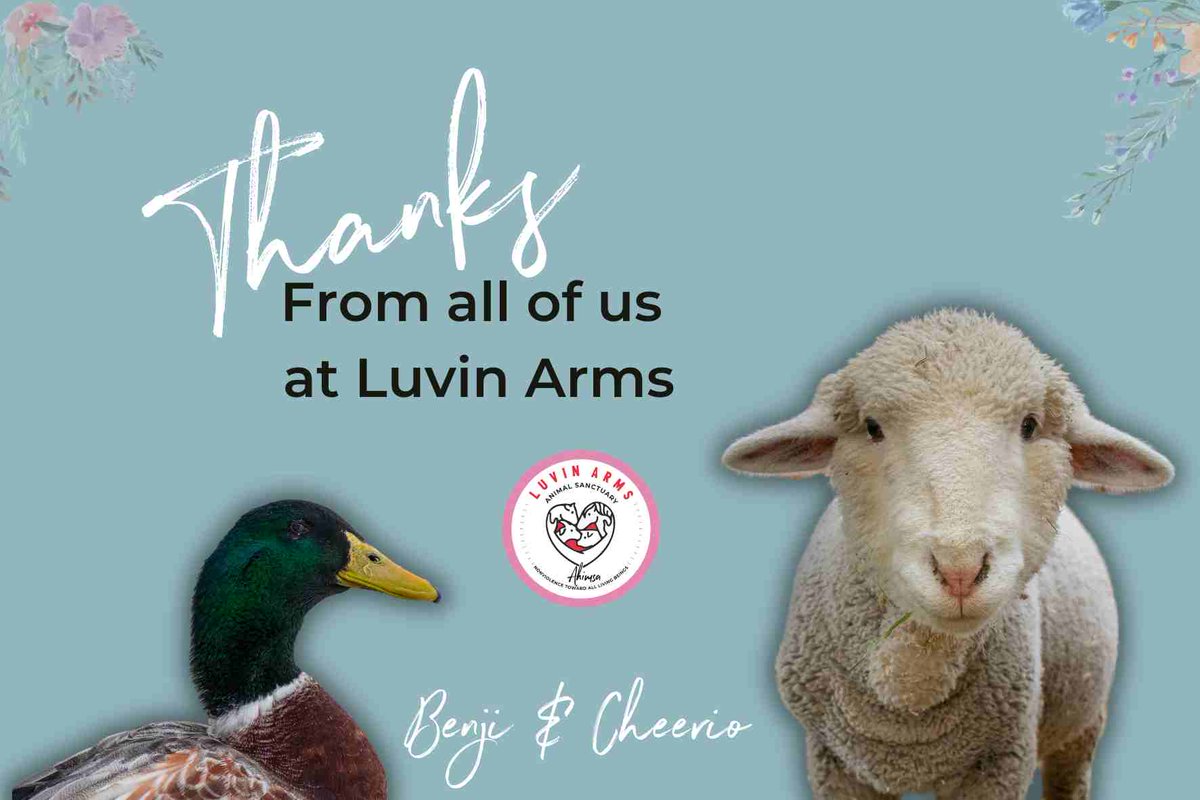 Luvin Arms Animal Sanctuary tweet media