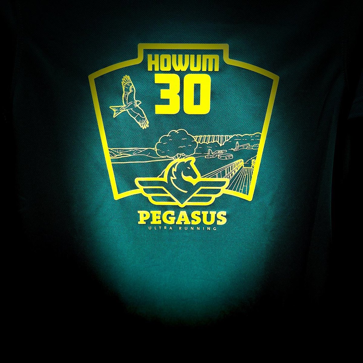 PegasusUltraRun's tweet photo. A sneak peek at the tee’s and hood’s for the HOWUM.

Sunflower gold 🌻👣❤️

#TheHOWUM #UltraTrailRunning #IsForEveryone #SunflowerGold https://t.co/RaNQkimBjI