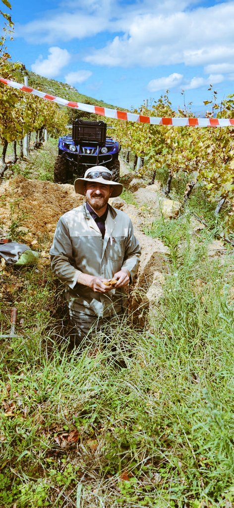 JohanVinpro's tweet photo. Taking precision farming in the vineyard to the next level! We've added the "gatkruiper" to the team - a bike to speed up our soil work in the field 🤙🌱🍇🍷

@Vinpro_za 
@RicoBasson https://t.co/sZUyu1nksG