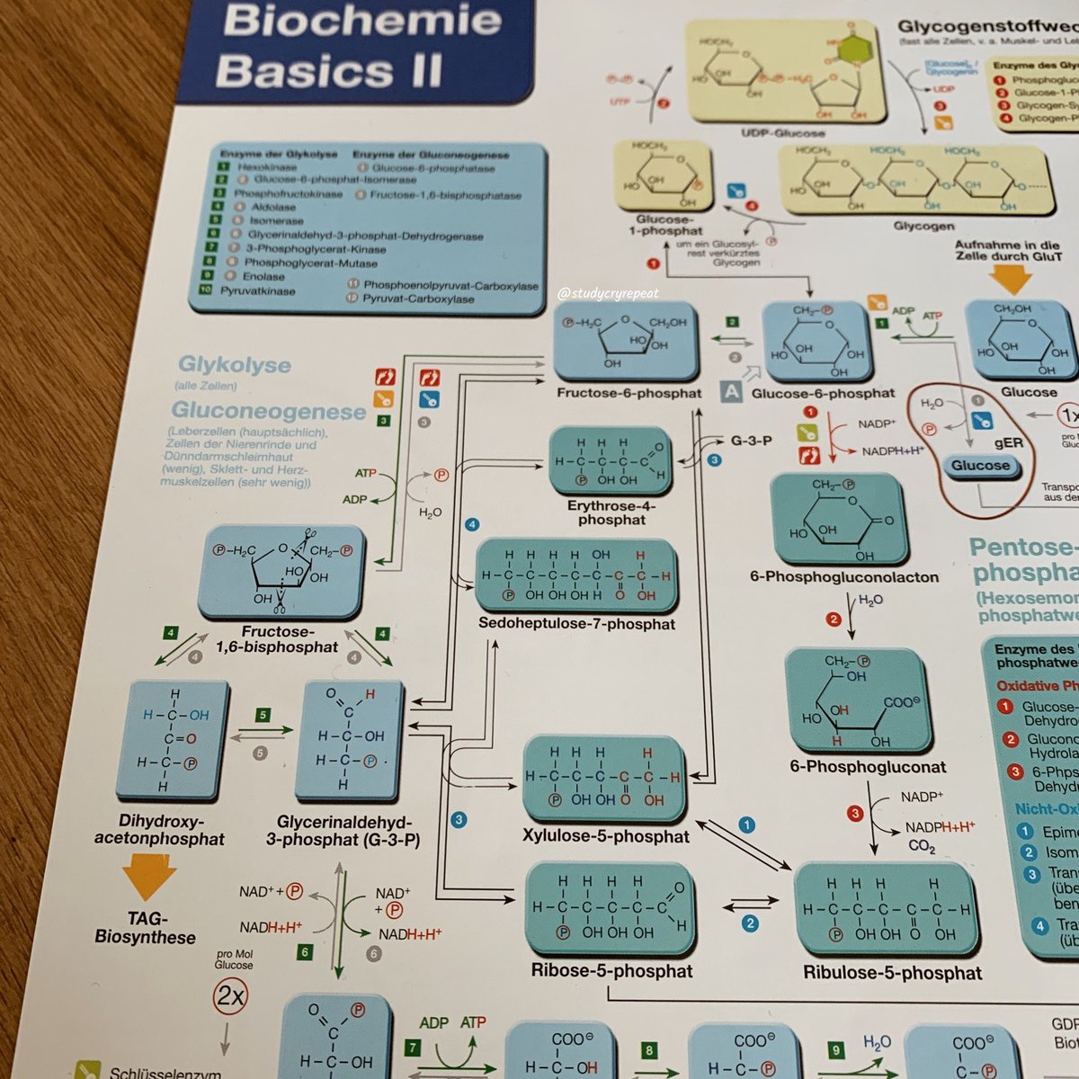 ⠀⠀⠀⠀⠀⍟      🧵       ⌒       algunos consejos
⠀⠀⠀⠀⠀que pueden ayudarte si estás en el
⠀⠀⠀⠀⠀instituto o universidad⠀⠀    ᳝     ⠀ ♡⃕