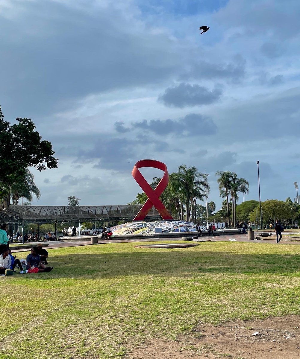 MMarinSc's tweet photo. Thrilled to start my research stay in South Africa at @AHRI_News, conducting research in HIV immunology at Dr. Kløverpris Lab. Grateful for the funding and support from @riscomunica ! Last chapter of my PhD program at @VIRIEVAC! 🇿🇦🔬🎓 ✨#Research #HIV https://t.co/s9oOi53tDJ