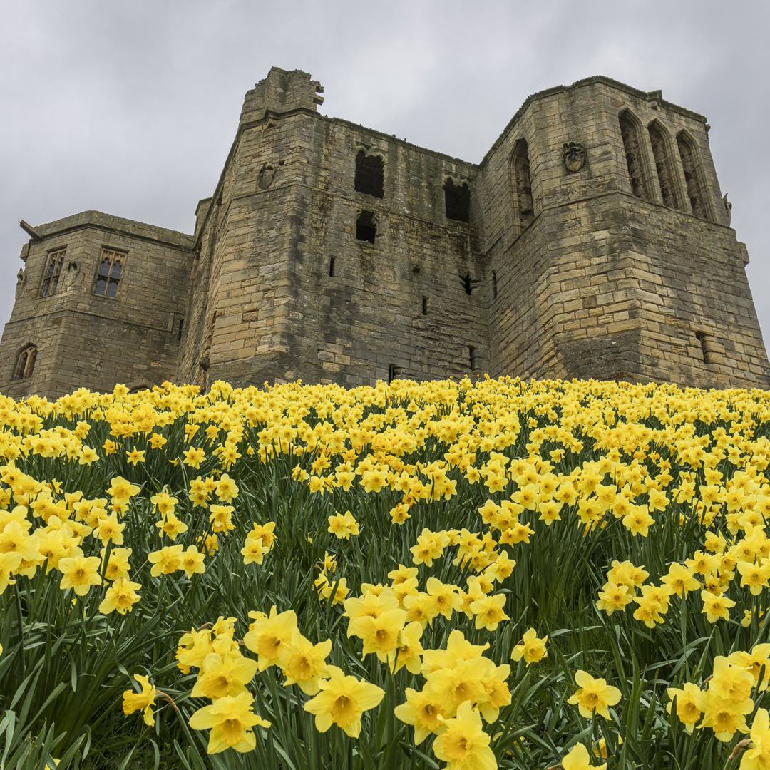 English Heritage tweet media