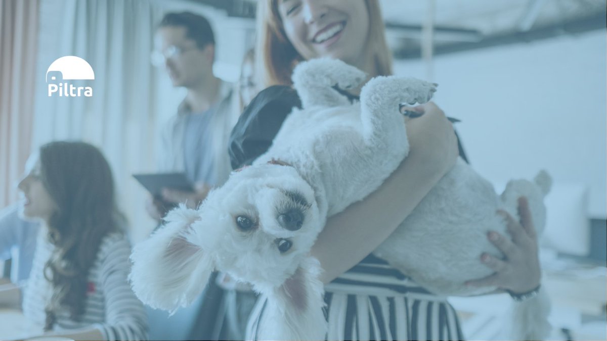 Piltra_app's tweet photo. ¡Heyyyyyy! Ya estamos aquí 🥳

Somos Piltra, según el diccionario “cama, mueble donde las personas duermen o descansan” pero en realidad somos una #app que te ayudará a #compartir #piso con personas afines a ti. https://t.co/qE9eQsCmTg