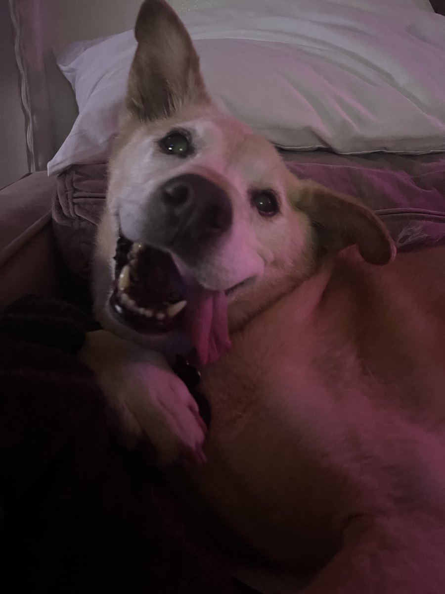 MUNNYCAT tweet media