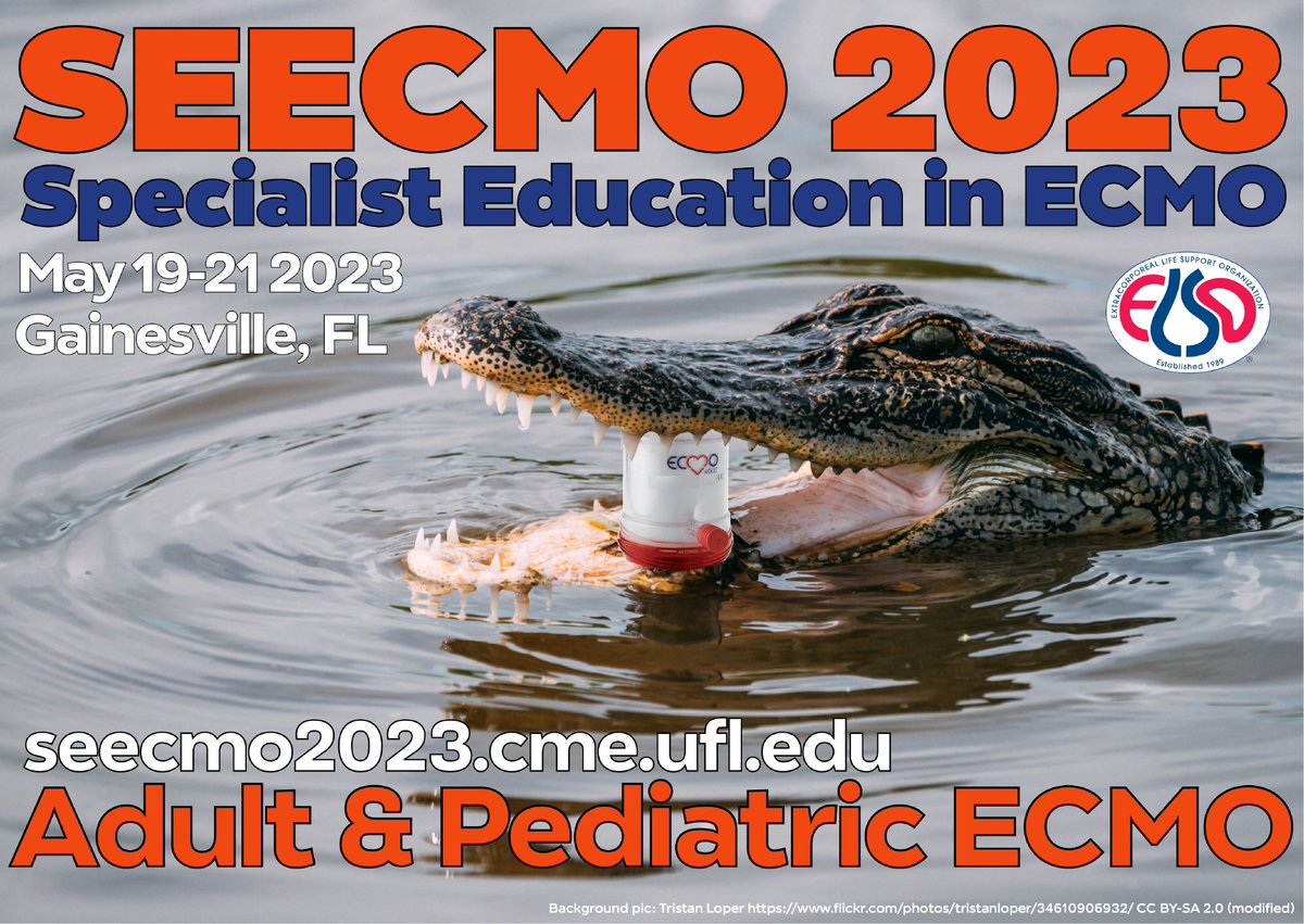 ELSOOrg's tweet photo. #ECPR at #SEECMO2023 annual Specialist Education in #ECMO Conference, hosted by @UF &amp; supported by ELSO
🫀out-of-hospital cardiac arrest #OHCA
🫀Dutch experience
🫀pediatric #PedsICU
🫀community
🗓️ May 19-21
🗺️ Gainesville FL
🖋️ https://t.co/0niZEyIOKo

🎥 https://t.co/ooYWWVEloU https://t.co/l80VGMTnzw