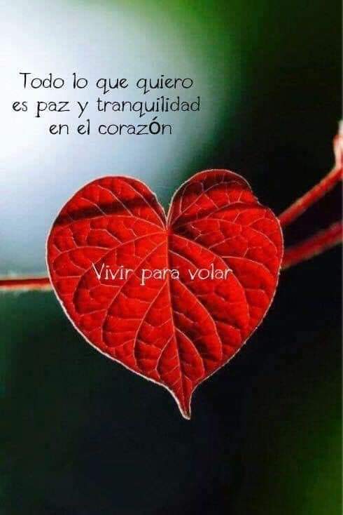 zeliannys (@zeliannys11) on Twitter photo #JusticiaYPaz
<a href="/zeliannys11/">zeliannys</a> <a href="/Arelys_50/">Arelys</a> <a href="/chande5035/">chande</a> <a href="/patrias21964753/">💝💫patria,socialista venceremos💫💝</a> <a href="/MirnaGiralit/">Mirna Giralit Olivero</a>
<a href="/MkPatriota/">Mildre Patriota</a> <a href="/kristof8419/">kristofer</a> <a href="/Ronal4825/">dobleRR</a> <a href="/anastacia053/">anastasia05</a> <a href="/juliannysmar15/">juliannys 🇻🇪🧡</a>
<a href="/gipsybell23/">GipsyBell 💞</a> <a href="/Alvarex2808/">Alvarex</a> <a href="/Rextwit12/">Rextwit</a> <a href="/guillvirfuent1/">Guillvirfuent@hotmail.com</a> <a href="/ville50349/">Villegas</a>
<a href="/jesus372333/">mildre</a> <a href="/Lyzi00/">Lizzy</a>
Paz y tranquilidad ❤ #JusticiaYPaz
<a href="/zeliannys11/">zeliannys</a> <a href="/Arelys_50/">Arelys</a> <a href="/chande5035/">chande</a> <a href="/patrias21964753/">💝💫patria,socialista venceremos💫💝</a> <a href="/MirnaGiralit/">Mirna Giralit Olivero</a>
<a href="/MkPatriota/">Mildre Patriota</a> <a href="/kristof8419/">kristofer</a> <a href="/Ronal4825/">dobleRR</a> <a href="/anastacia053/">anastasia05</a> <a href="/juliannysmar15/">juliannys 🇻🇪🧡</a>
<a href="/gipsybell23/">GipsyBell 💞</a> <a href="/Alvarex2808/">Alvarex</a> <a href="/Rextwit12/">Rextwit</a> <a href="/guillvirfuent1/">Guillvirfuent@hotmail.com</a> <a href="/ville50349/">Villegas</a>
<a href="/jesus372333/">mildre</a> <a href="/Lyzi00/">Lizzy</a>
Paz y tranquilidad ❤