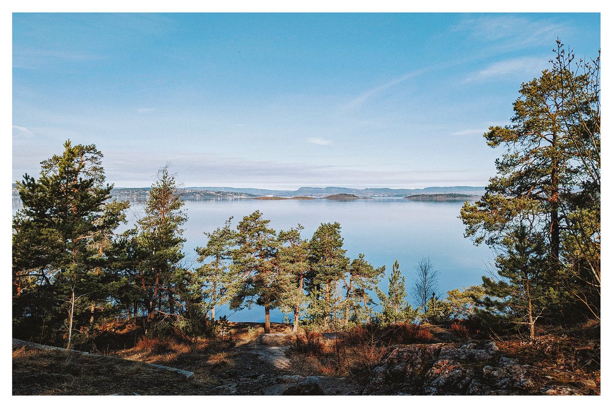 Raphaelle Monvoisin tweet media