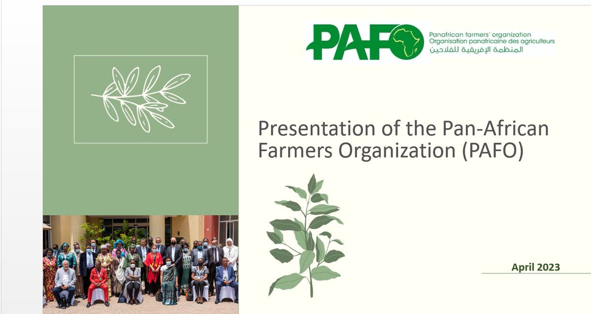 pafo_africa's tweet photo. @EmmeranceT, @pafo_africa program officer, introducing @pafo_africa mission&vision to the participants @ meeting on #Womenfarmers #leadershiprogram implemented by @pafo_africa
- @AHA_agrar & @LandFrauen_dlv with the support of @BMZ_Bund https://t.co/xdjjULlpsk