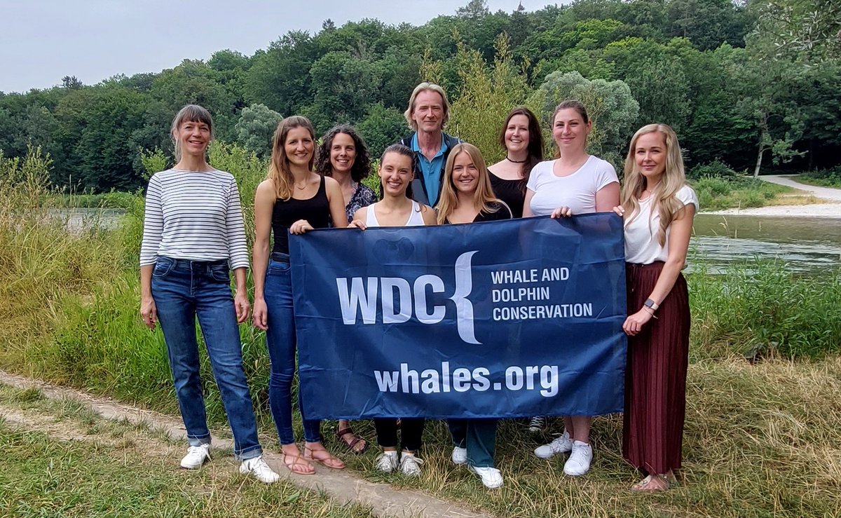 whalesorg_de's tweet photo. 🚨#JobAlert | Du liebst #Wale &amp; #Delfine und möchtest uns dabei helfen #Spenden für ihren Schutz zu gewinnen? 💸🐬 Dann komm in unser #Team und bewirb Dich als #Fundraiser:in (w/m/d)! 💙🙌
Zur Stellenbeschreibung &amp; #Bewerbung 👇

https://t.co/5xmfXjNG3t https://t.co/3QNe3TiNAZ