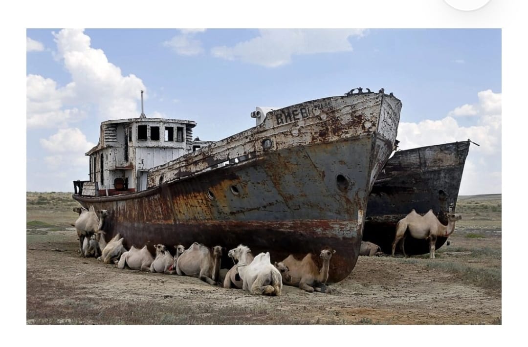 SirMadingManyok's tweet photo. The consequences of doing dredging project without studying environmental studies. #SouthSudan must learn from #AralSea that dried up due to dredging. #NotoDredging #SaveSudd #SSOT https://t.co/RGrm9I3ddm
