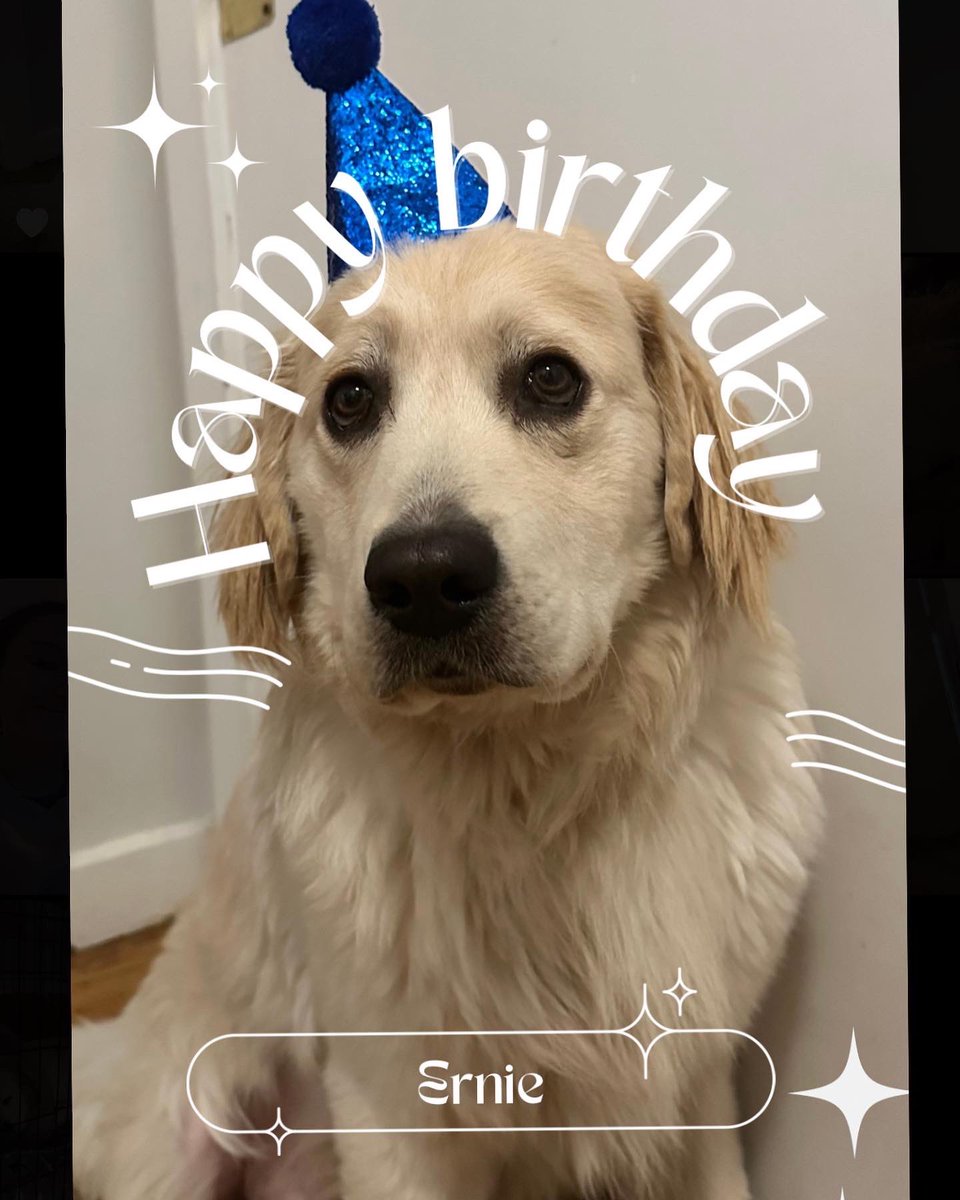 K_Goostrey's tweet photo. My goofy boy is 1 today! https://t.co/nJdJImNnFc