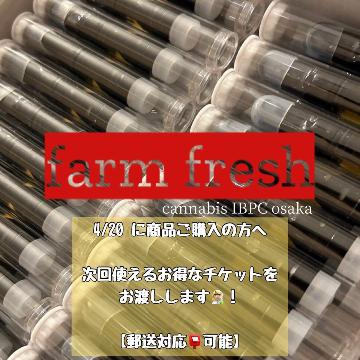 Farmfresh_osaka's tweet photo. 🎪420イベント🎪
第2弾 😏‼️
4/20に限り‼️
1パフ500円~やります🔥🔥🔥
当店🏢は試し吸いはやっていません。
なのでこの日をきっかけに
ずっと気になってた!って方は
是非お越しください(*´︶`*)ノ
レビューお約束で 次回使える🉐チケット🎫も渡します👱🏻♀️💓💓
#420event #合法 #大麻 #大阪 https://t.co/nbfKoIwo4Q