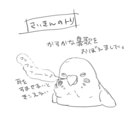 最近のトリ備忘録 