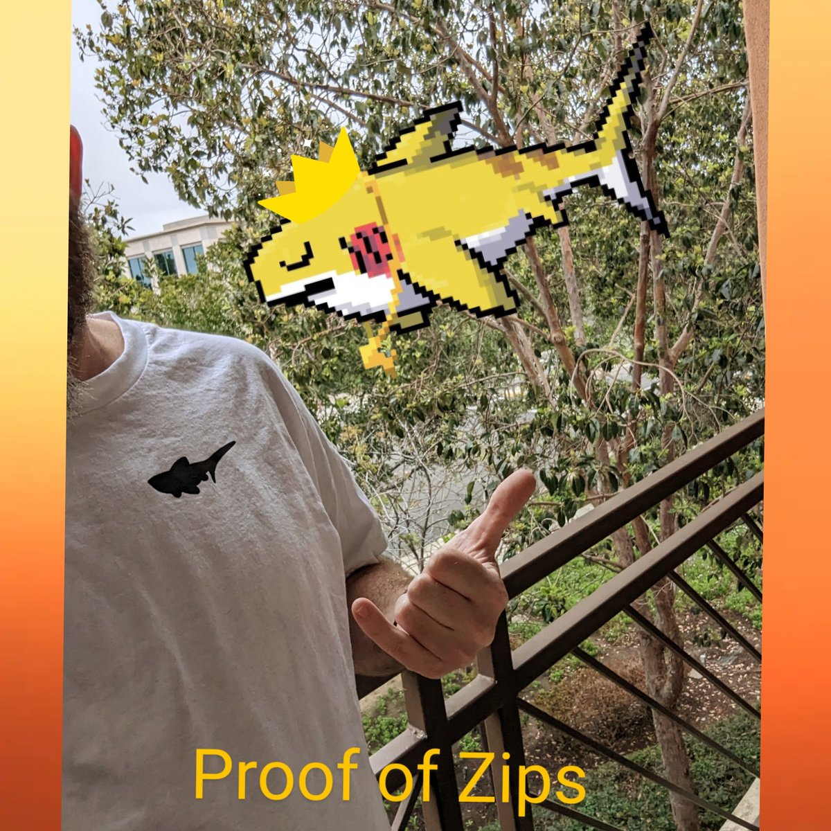 Spitfir304's tweet photo. @d3fb0t @zipsharks Digital Sharks swimming in the greens? Let's go! #DigiSharks have sold out! #proofofshark #proofofzips #treeshark https://t.co/lTxefpxWhR