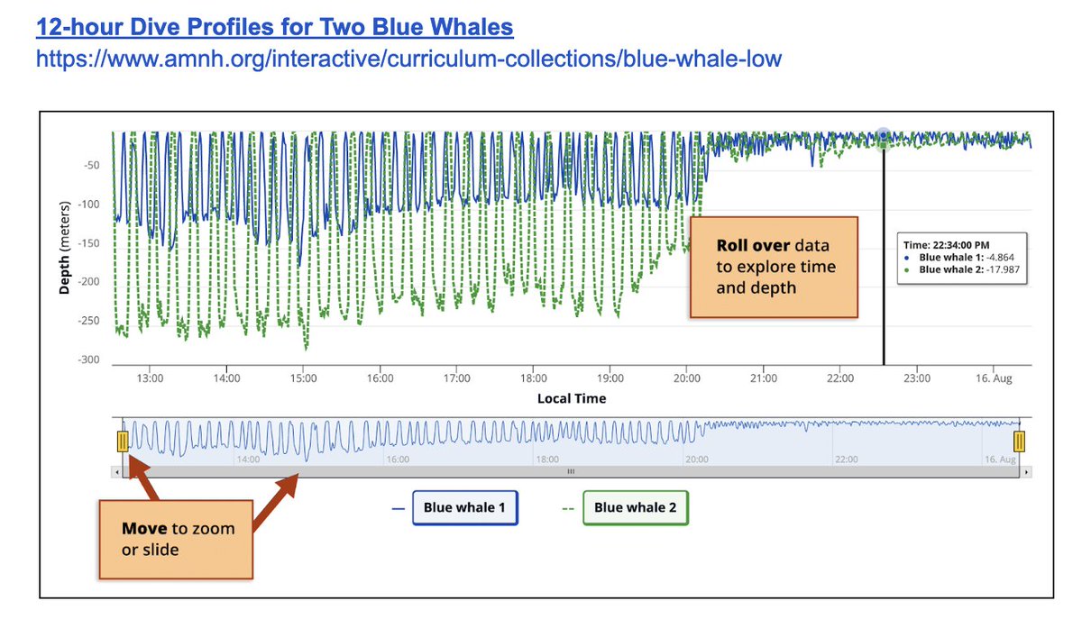 joboaler's tweet photo. Today's fun suggestion - a beautiful task that comes from Monterey Bay Aquarium Research Institute @MontereyAq &amp; the American Museum of Natural History @AMNH - learning about Blue Whales: https://t.co/vVWUUdsulR https://t.co/Yr5hsSNYs4