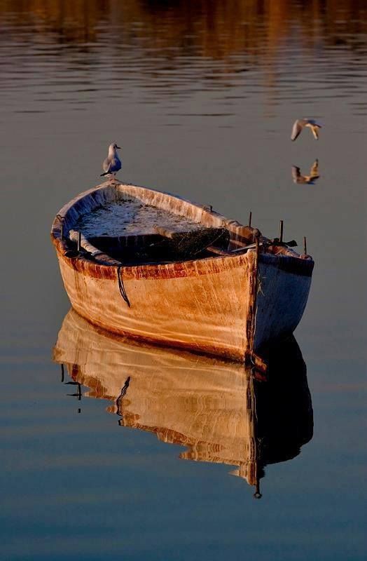 'Non attraverserai mai l'oceano se non hai il coraggio di perdere di vista la riva'

(André Gide)

#SiViaggiare 
#SalaLettura