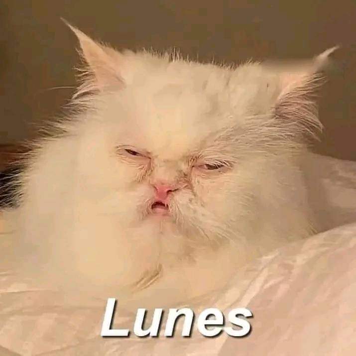 #NuevaFotoDePerfil