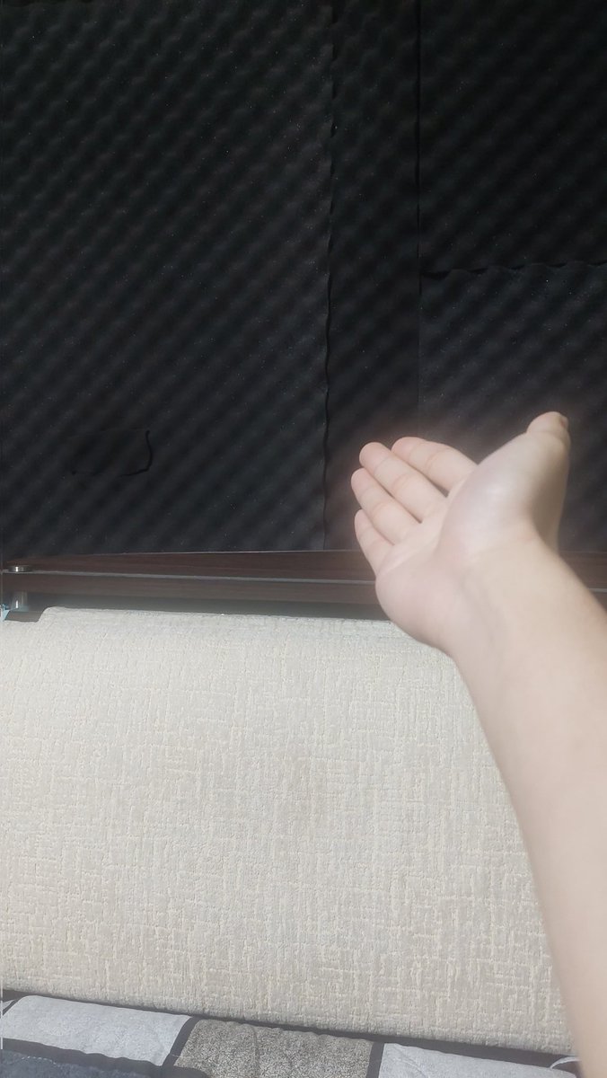 SignicialTW's tweet photo. 昨天晚上發生的事
有隻蚊子從11點就開始在我耳邊飛 
根本睡不著覺 
還被他叮好幾個包

然後因為我房間的隔音棉給蚊子上了保護色
所以我到凌晨三點累倒之前都沒打到他 https://t.co/RBz257J7Nw