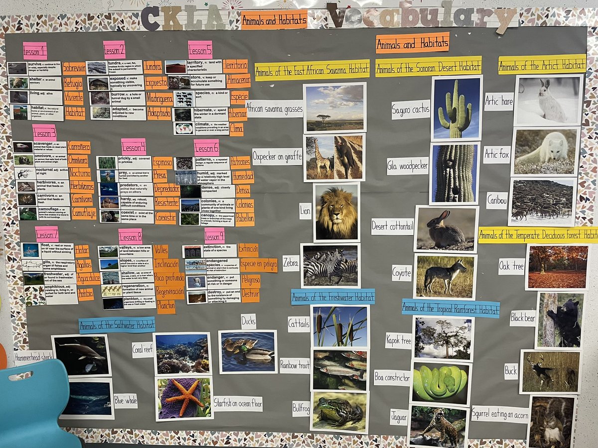 DrFavy's tweet photo. Aprendiendo sobre los diptongos @JohnsonES_AISD One-Way Dual Language is on 🎯 🌟 https://t.co/93MPTBvJBI