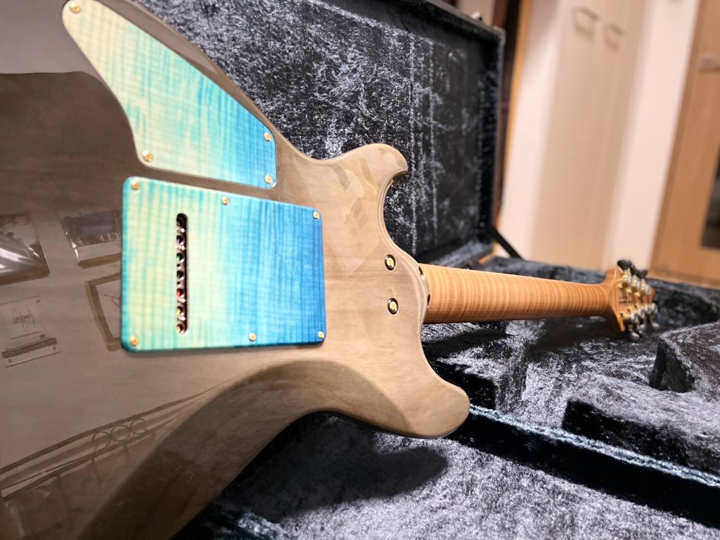 RT @KetsuAna_Guitar: my new gearマイニューギア T's Guitars