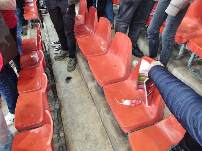 Lancio di topi morti da parte dei tifosi dello Charleroi nel settore dei tifosi dello Standard Liegi.
Si sta degenerando. 

#JupilerProLeague #Charleroi #StandardLiegi #Tifosi #Calcio