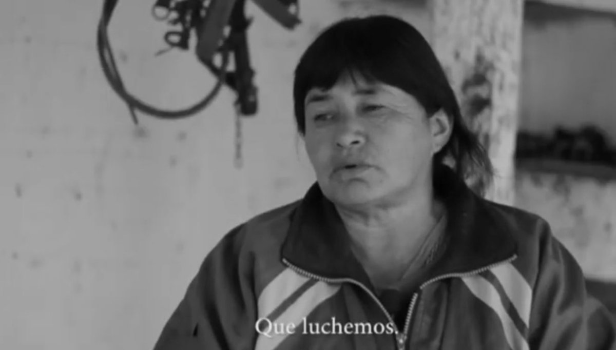 𝟭𝟳 𝗱𝗲 𝗮𝗯𝗿𝗶𝗹 
𝗗𝗶́𝗮 𝗱𝗲 𝗹𝗮 𝗟𝘂𝗰𝗵𝗮 𝗖𝗮𝗺𝗽𝗲𝘀𝗶𝗻𝗮 ✊🏽
🌱 Reviví con nosotrxs "Amicha, comunidad en la tierra."
ℹ Miralo aquí  👇🏽
youtu.be/L0R-HmU2Bk4