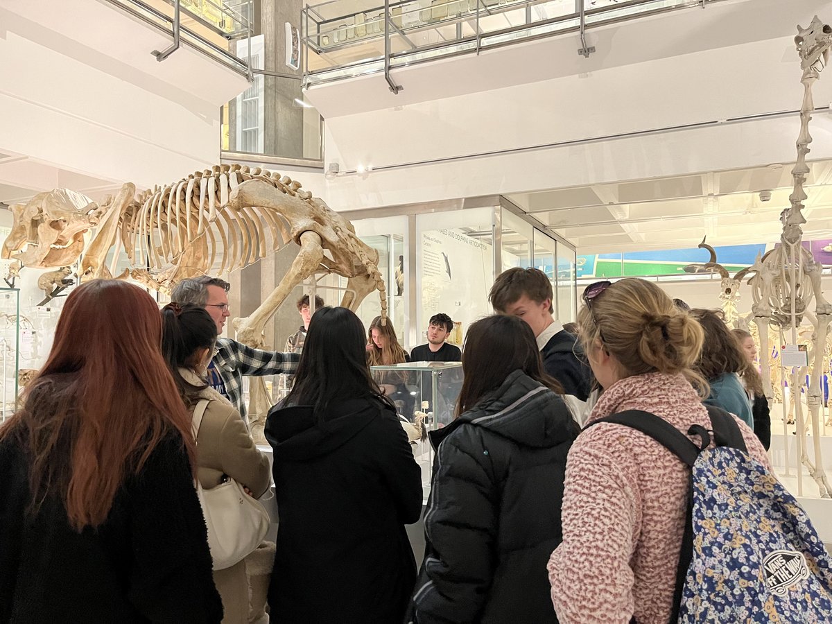 Museum of Zoology, Cambridge on Twitter "It was a pleasure working