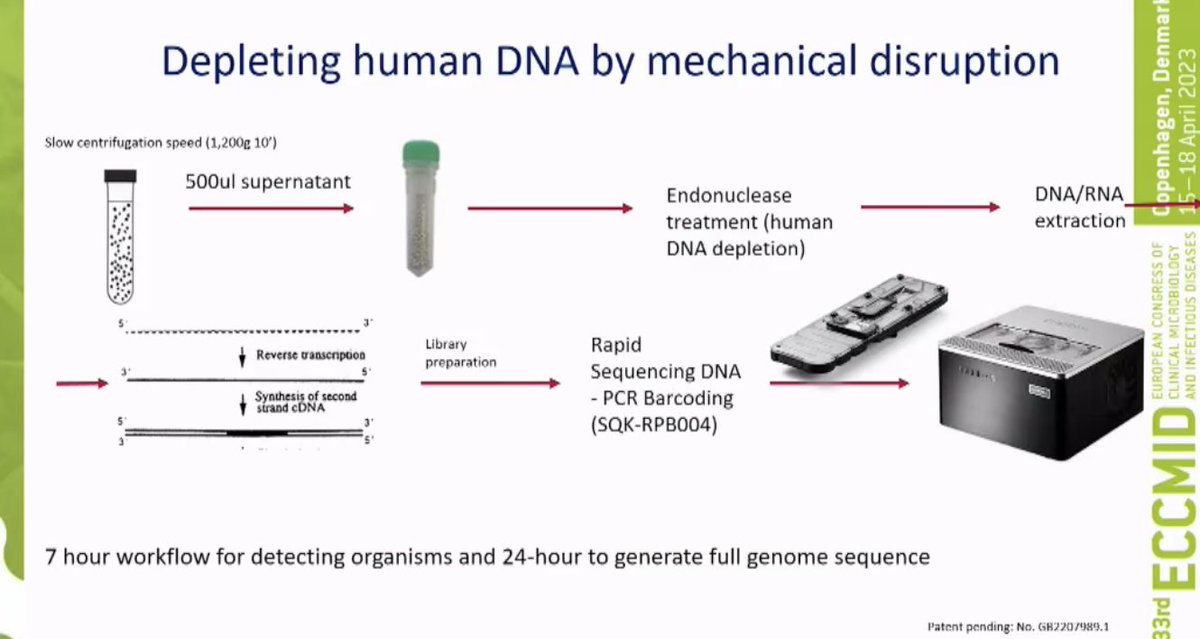 padstamundo's tweet photo. #ECCMID2023 Adela Alcolea-Medina: rapid metagenomics for combined detection of RNA &amp; DNA viruses, bacteria + fungi; human DNA depletion is key; looked at BALs/ETAs, 1% read threshold, compared to culture https://t.co/5rSLcMIbGH