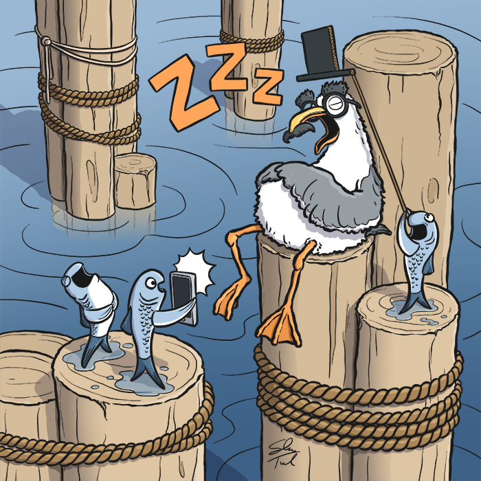 Time for @AnimalAlphabets! This week is “S” for “Seagull Sleeping”. You have to be careful where you take your nap though, because the fish can be pranksters. #AnimalAlphabets #fish #seagull #dock #pier #kidlitart #childrensbookillustrator #seekingrepresentation