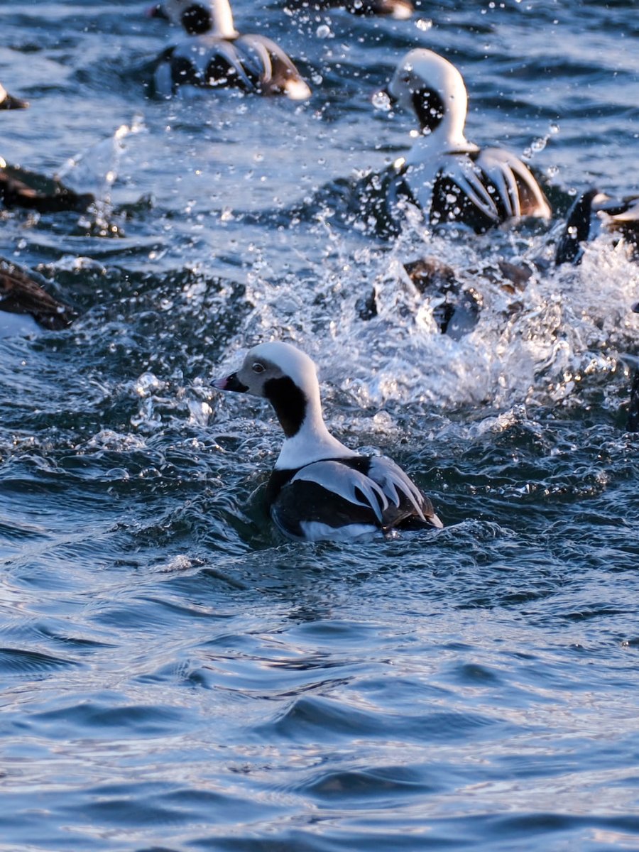 Effort is addictive, especially when you get something out of it