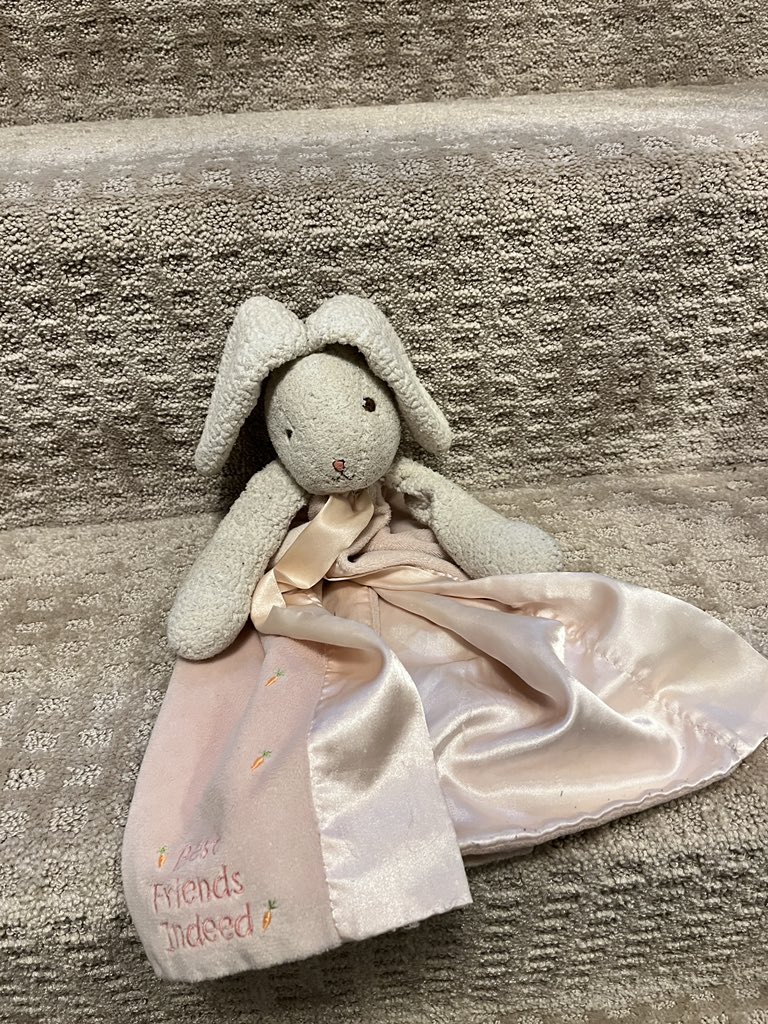 HowardWolke's tweet photo. Help! My daughter (9y/o) lost her two favorite stuffed animals on @Iberia flight 2626 from Boston to Barcelona on Fri night! One is a sloth and the other is a rabbit (pictured). Can anyone at the airline (or anywhere) help us? https://t.co/HdMgLbf2cK