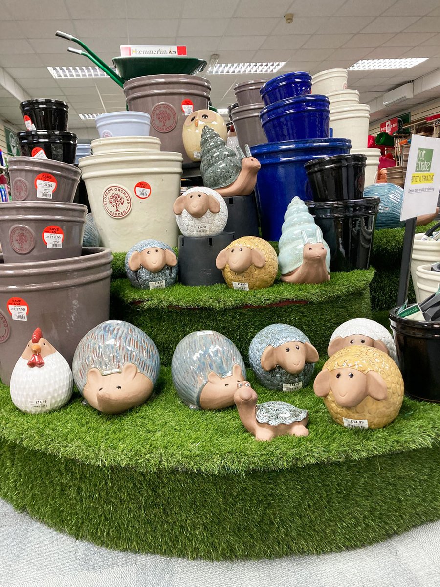 LBSTradeCentre's tweet photo. Pick Up A Bargain This Week!
From quirky planters in our clearance section to bedding &amp; perennial plants or one of our beautiful ceramic pots at reduced prices, guaranteed to brighten up your garden!
🌼🌸🪴🌺
#gardening #plantpots #plantersforsale #plantsforsale #colne https://t.co/6xPkj4M0YF