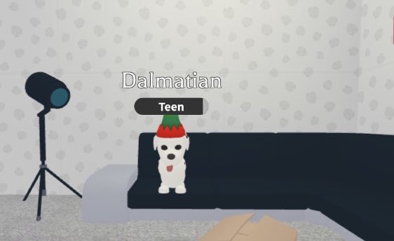 🐕 Dalmatian giveaway 🌫️
Rules;
Follow me ✈️
Like ❤️
Retweet 🌀
Comment ✅ (optional)
Those are the main rules!
Gl everyone 🎉
Extras in the comments ⏬️‼️