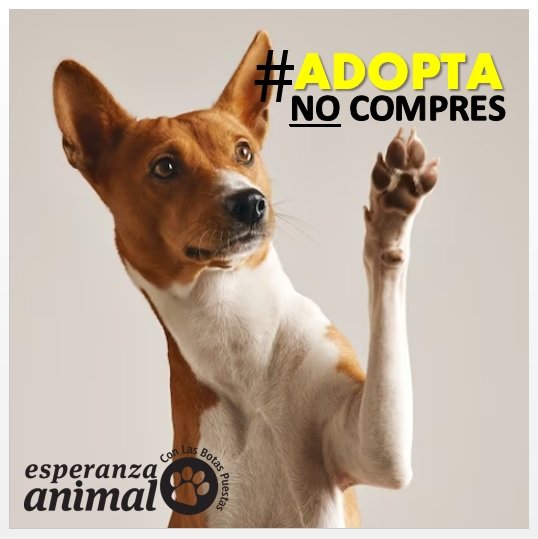 Abre tu corazón #adoptanocompres