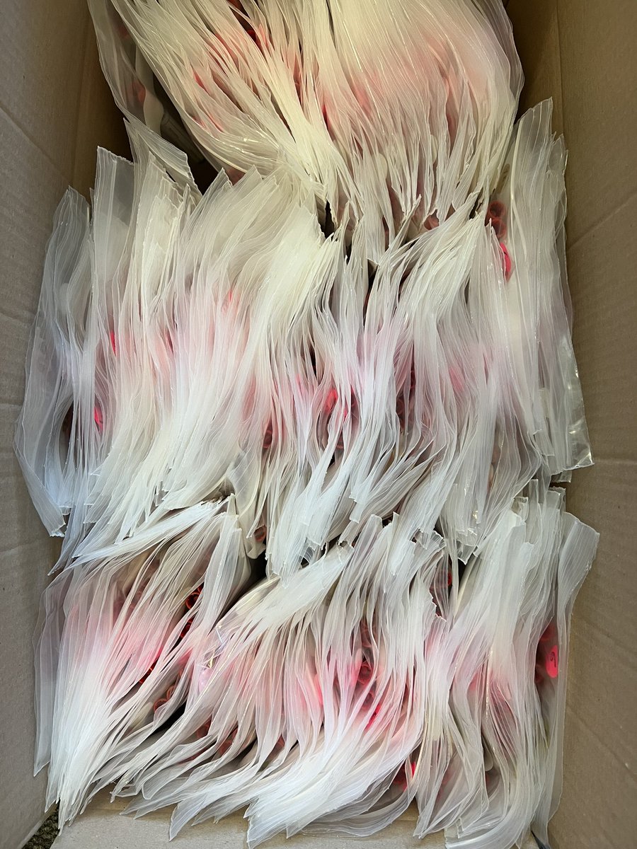 MucosalGroup's tweet photo. Exciting things are happening @UCTIDM as all the @GIFT_for_Africa study packs are being prepared for shipment soon to @ThruZim @TinasheMwaturu1 @chidodc @DTHF_YC @pasteurMG #beginningsoon https://t.co/qJbQzKSBrH