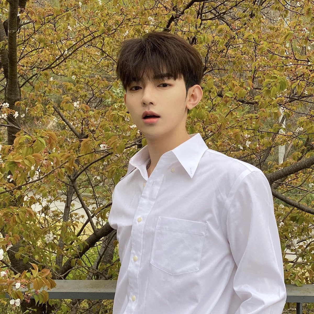 zhanghaozip's tweet photo. *•.¸Reasons why 5TH GEN needs to
             have ZHANG HAO ♡¸.•*'

▪︎ a thread for non-rosins on why you should vote for him. https://t.co/6QiY4gTbMA
