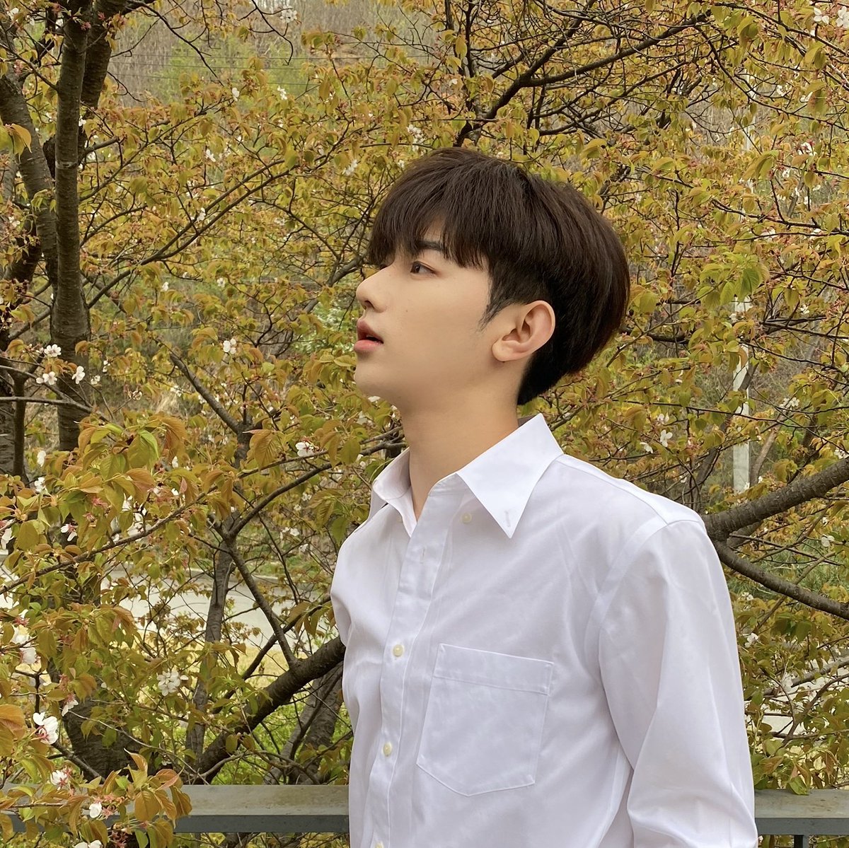 *•.¸Reasons why 5TH GEN needs to
             have ZHANG HAO ♡¸.•*'

▪︎ a thread for non-rosins on why you should vote for him.