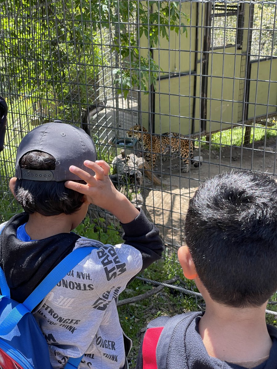 VUSD Expanded Learning tweet media