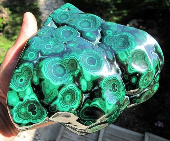 Rainmaker1973's tweet photo. Malachite is a copper carbonate hydroxide mineral and when it's polished, it has a striking aspect 

[read more: https://t.co/5fxguVJpmW] 
[photo: https://t.co/hr71rOxTSD] https://t.co/qalOovW1DD