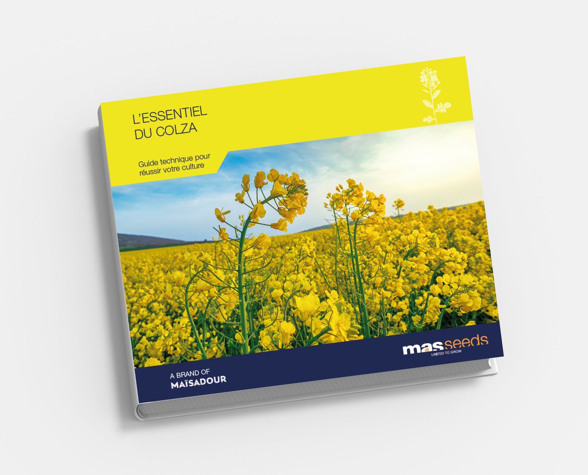 MASseedsfrance's tweet photo. Tout savoir sur le #colza! MAS Seeds vous propose un guide technique pour réussir votre #culture de l’implantation à la #récolte!

Téléchargez-le dès maintenant👉https://t.co/OXbyuZjpoX

#CeuxQuiFontLesSemences #Semences #semis2023 #récolte2023 #FrAgTw #agriculture https://t.co/PQkz3VrUCG