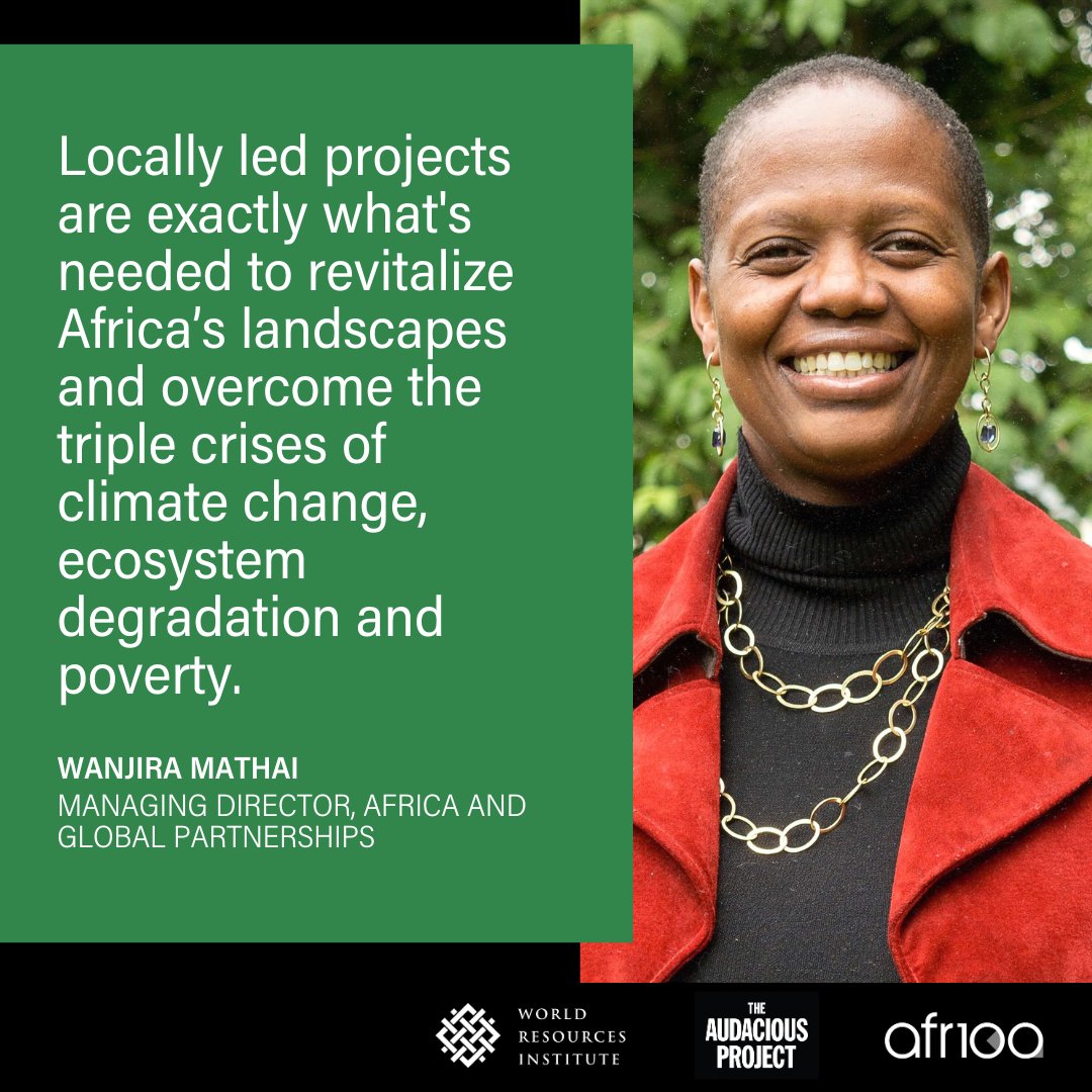 jaredmessinger's tweet image. Thrilled to share that Restore Local, a project of #AFR100, was selected for the 2023 @TheAudaciousPrj cohort! 

This new project will support communities and businesses restoring land in Africa. We’re proud to be supporting these #RestorationChampions:

wri.org/initiatives/re…