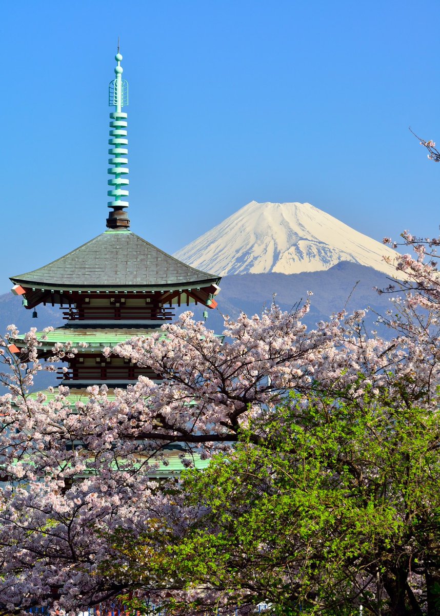伊豆からの五重塔と富士山です。 桜も絡めて綺麗でした🌸 過去の作品です。