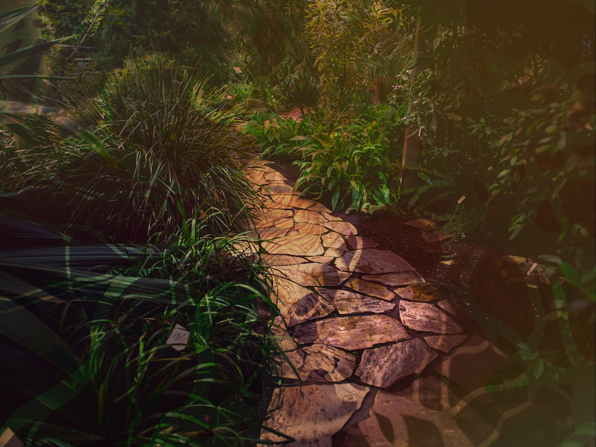 Biotoopia1's tweet photo. On 11–13 May at Tallinn Botanic Garden and online, we'll introduce various new thought patterns inspired by the mystical underground networks and their edifying messages for society. The keynote speaker of the conference is #MerlinSheldrake💚
More info on https://t.co/OhqWCQhVnO https://t.co/PWor5jXUJi