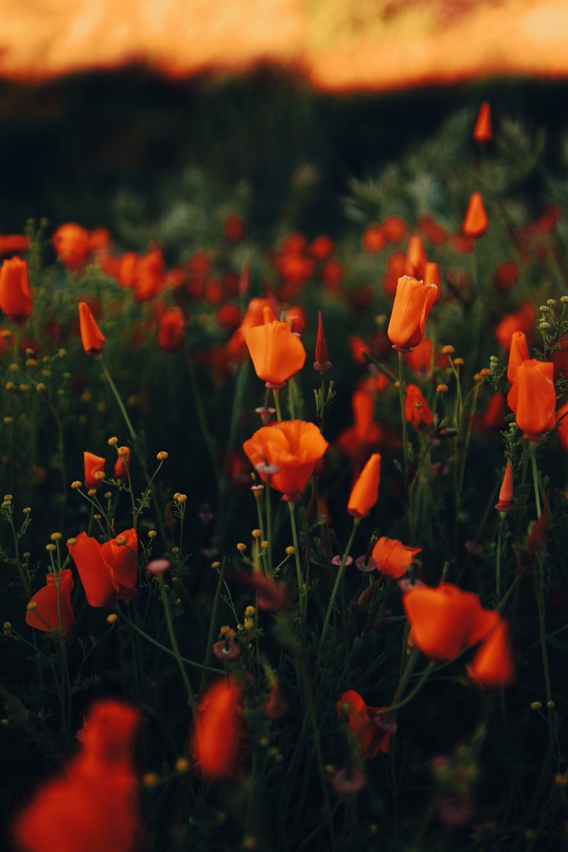 🎞📸JaimeGFX🎥🎬 tweet media